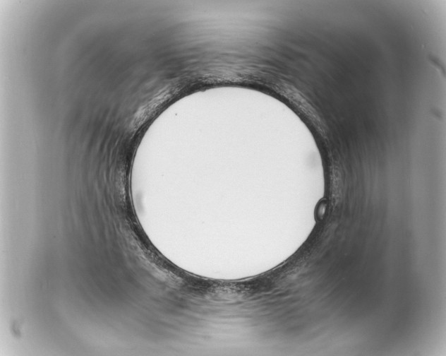 X0000101480489200808041131