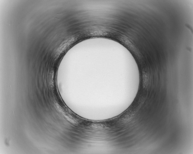 X0000101480490200808041131