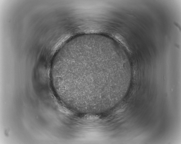 X0000101480491200808041131