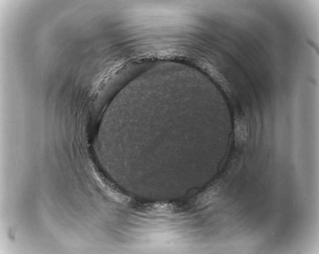 X0000101480493200808041131