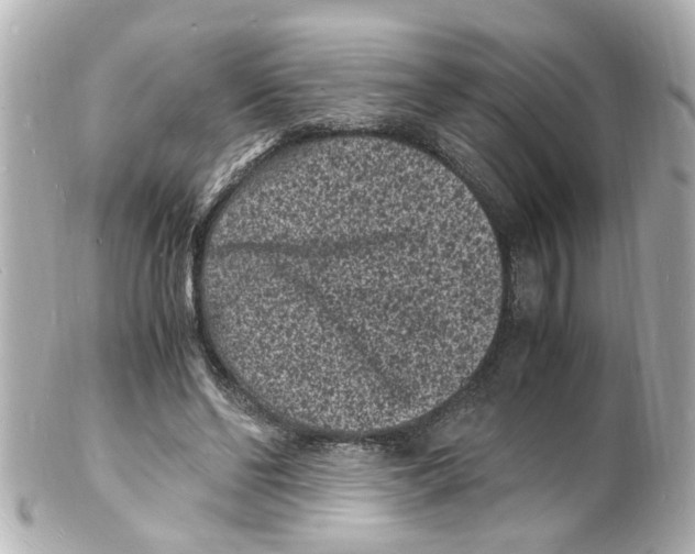 X0000101480494200808041131