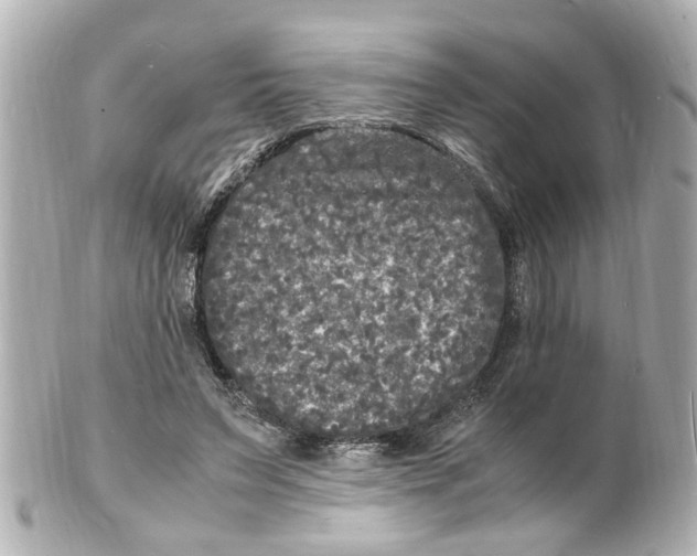 X0000101480495200808041131