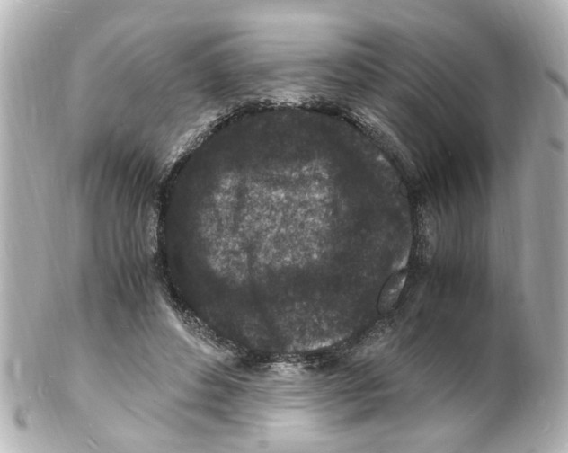 X0000101480496200808041131