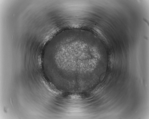 X0000101480500200808041131