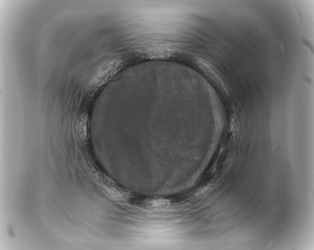 X0000101480501200808041131