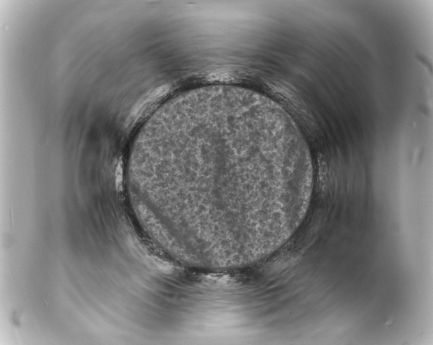 X0000101480502200808041131