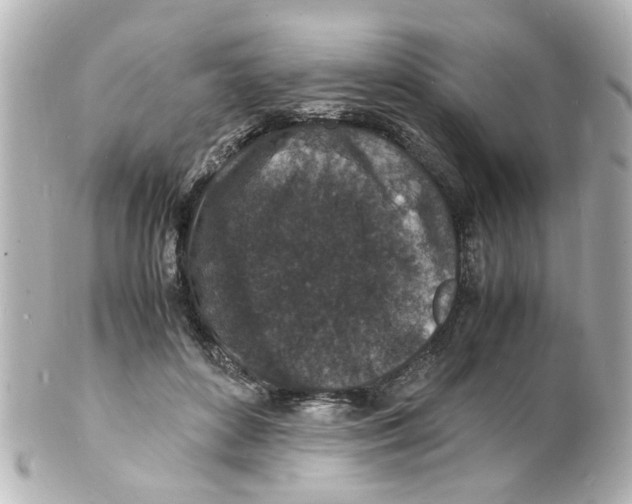 X0000101480504200808041131