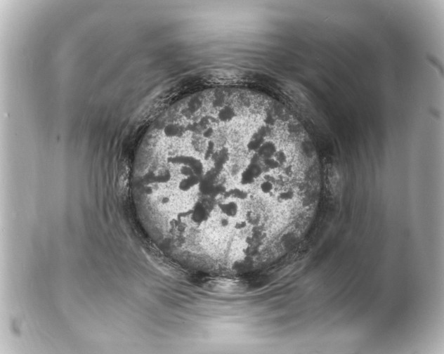 X0000101480507200808041131