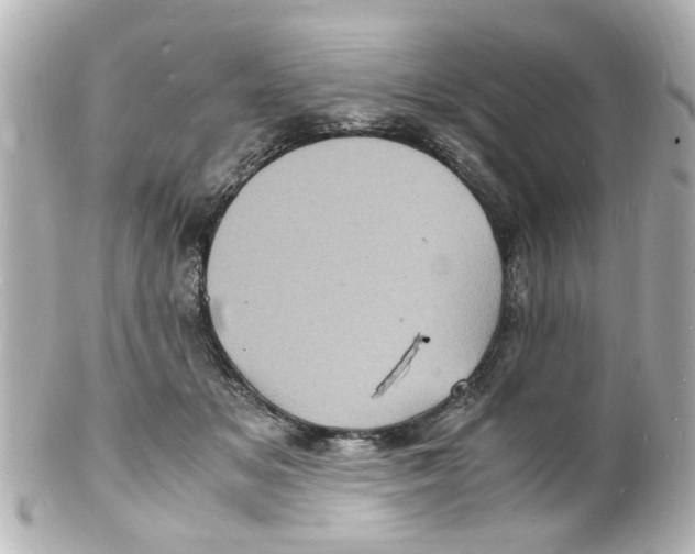 X0000101480509200808041131