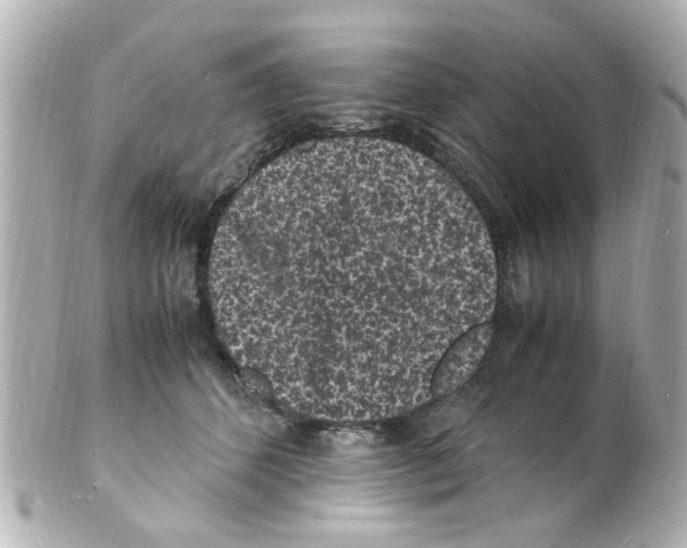 X0000101480512200808041131