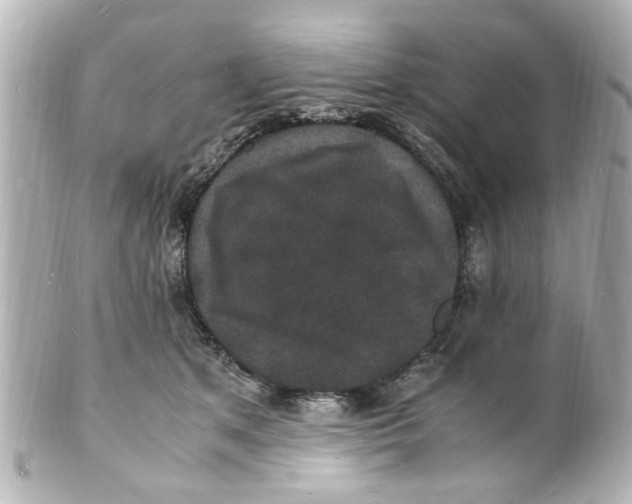 X0000101480513200808041131