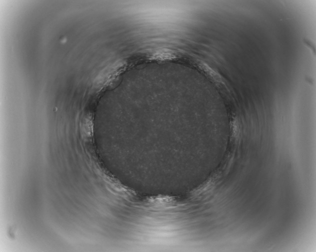 X0000101480517200808041131