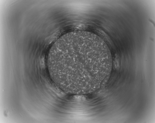 X0000101480520200808041131