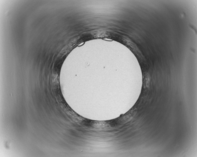 X0000101480521200808041131