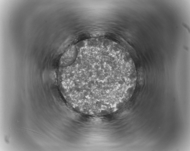 X0000101480523200808041131