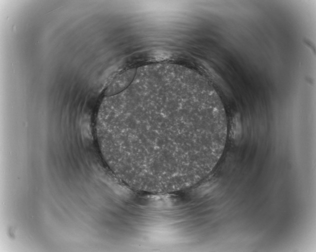 X0000101480524200808041131