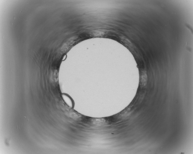 X0000101480525200808041131