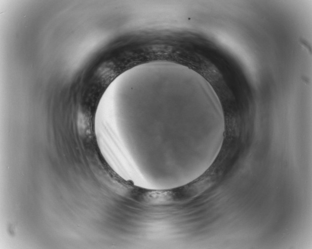 X0000101480526200808041131