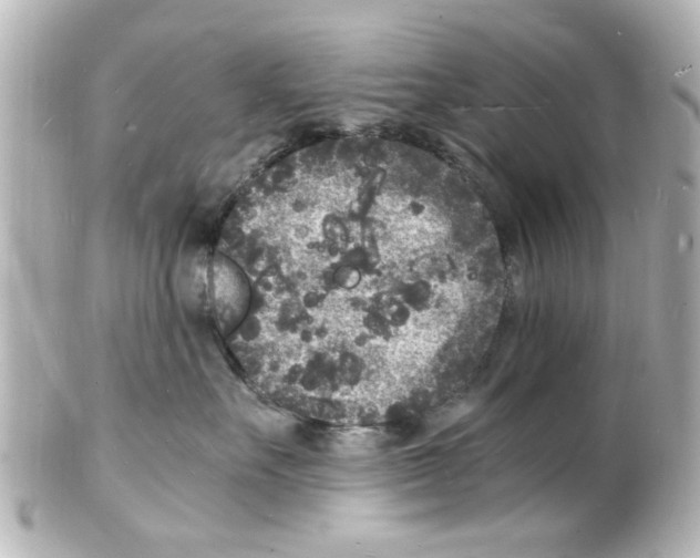 X0000101480527200808041131