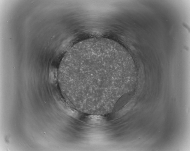 X0000101480528200808041131