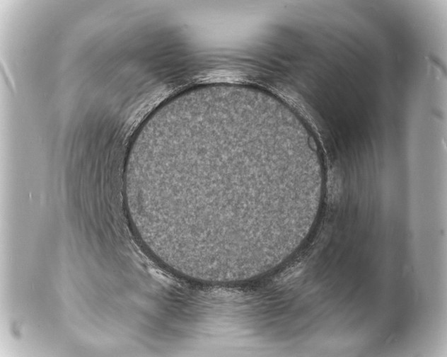 X0000101480529200808041130