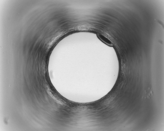 X0000101480530200808041130