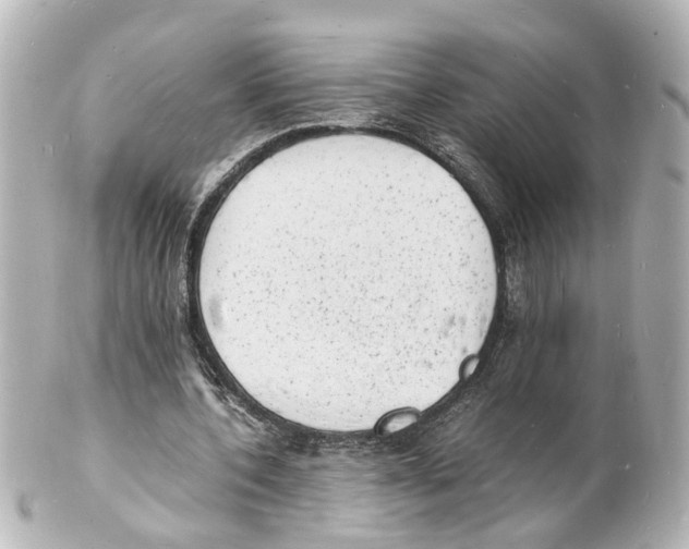 X0000101480532200808041130