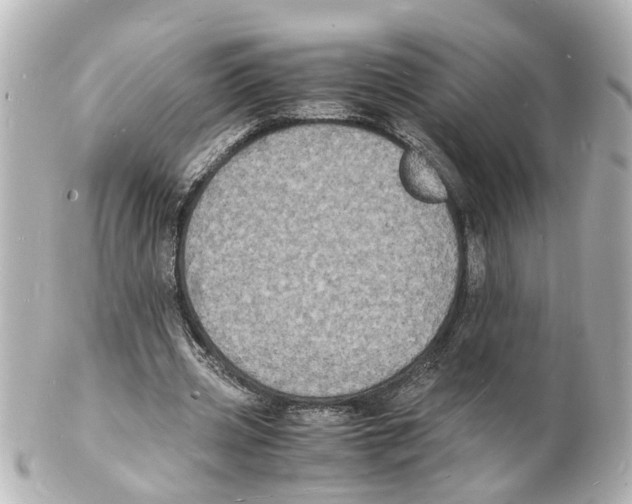 X0000101480533200808041130