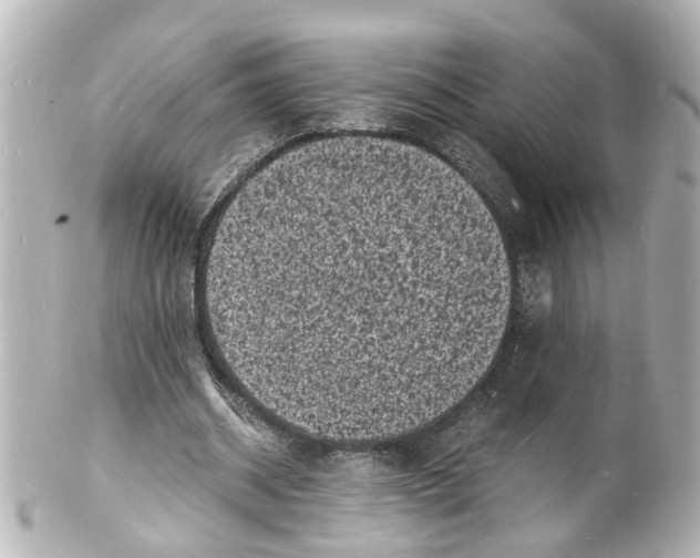 X0000101480534200808041130