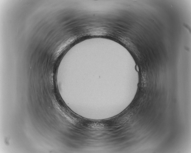 X0000101480535200808041130