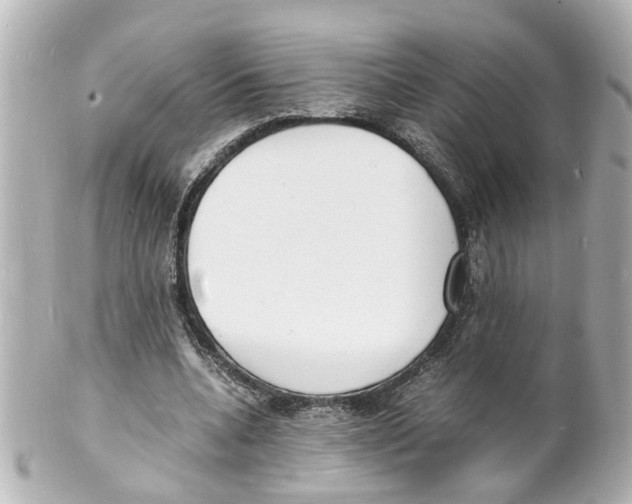 X0000101480536200808041130