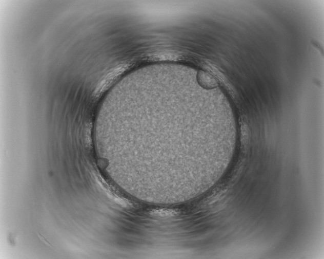 X0000101480537200808041130