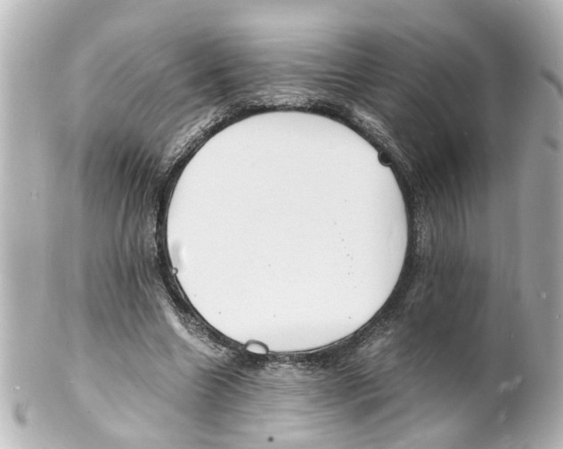 X0000101480538200808041130