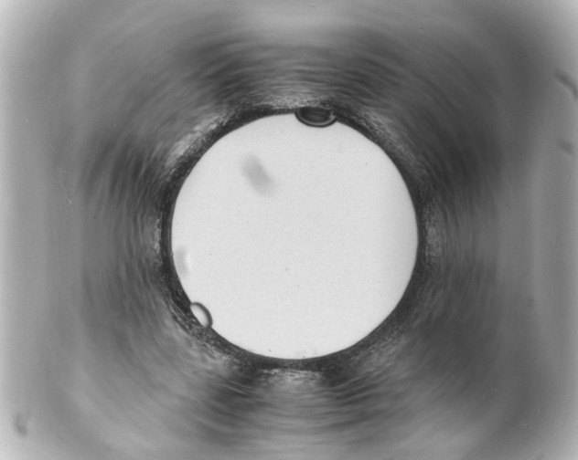 X0000101480539200808041130