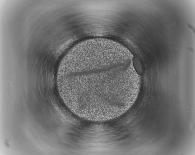 X0000101480540200808041130