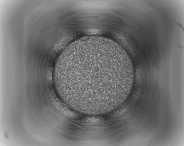 X0000101480545200808041130