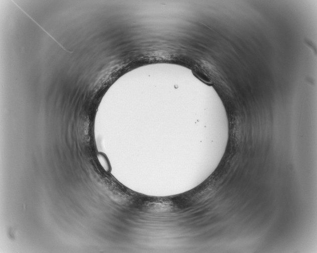 X0000101480548200808041130