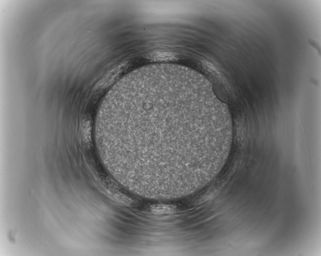 X0000101480549200808041130