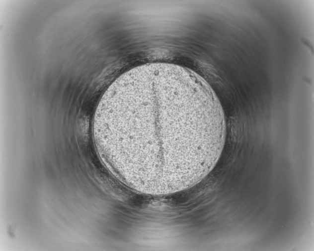 X0000101480550200808041131