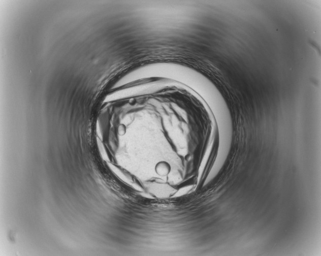 X0000101480552200808041131