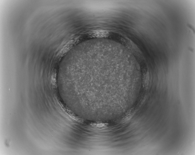 X0000101480553200808041131