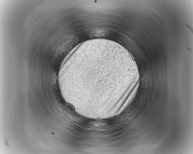 X0000101480555200808041131