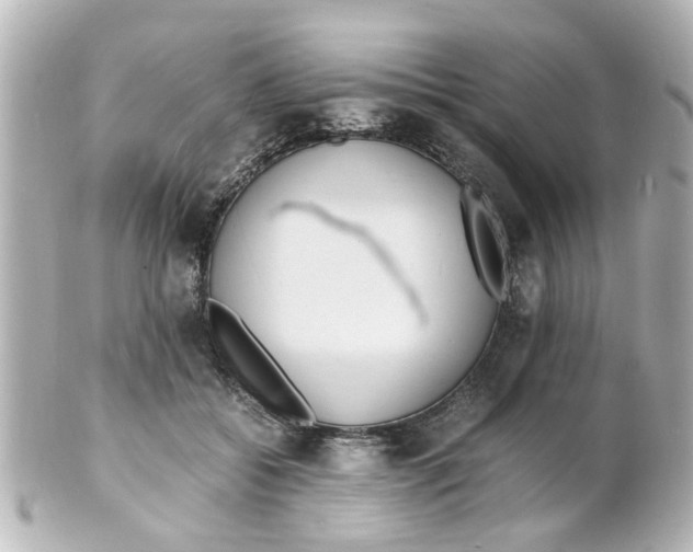 X0000101480556200808041131