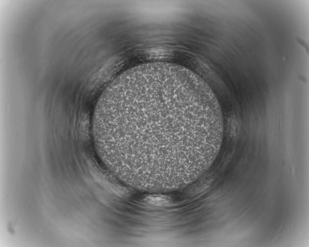 X0000101480557200808041131