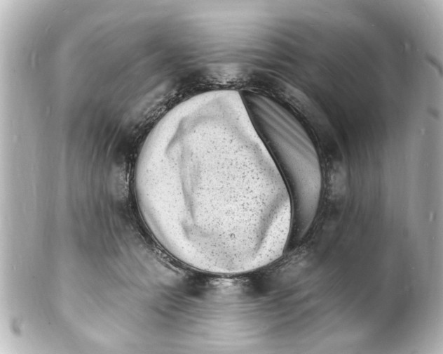 X0000101480558200808041131