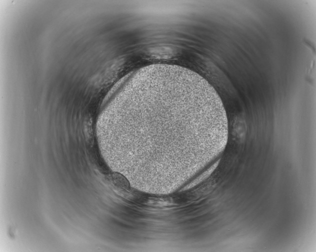 X0000101480559200808041131