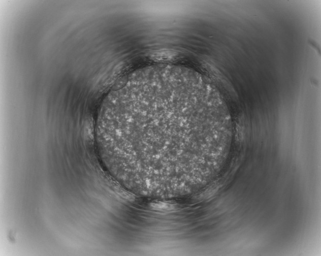 X0000101480561200808041131