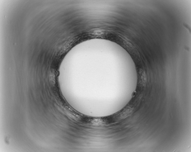 X0000101480562200808041131