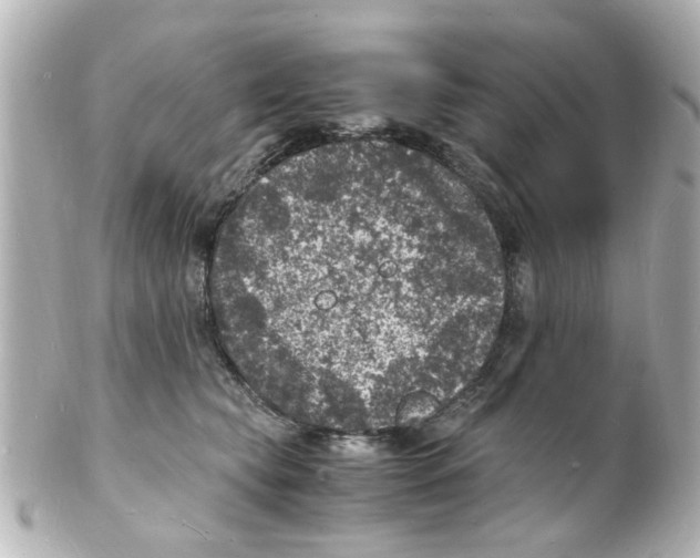 X0000101480565200808041131