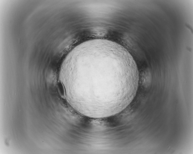 X0000101480568200808041131